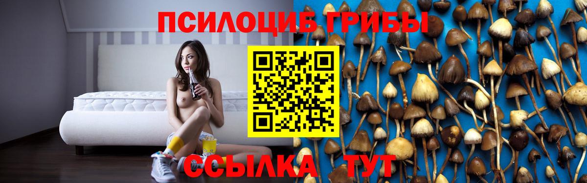 Псилоцибиновые грибы GOLDEN TEACHER Новый Уренгой